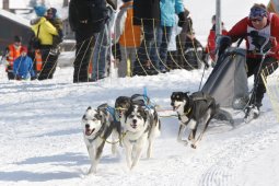 Lenk 2012 SM
